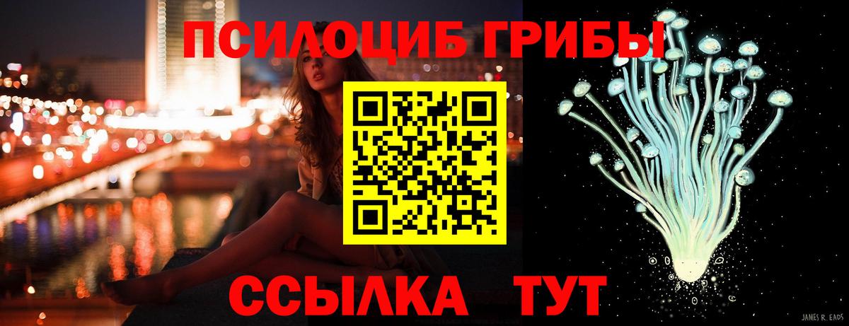 Галлюциногенные грибы ЛСД Дедовск